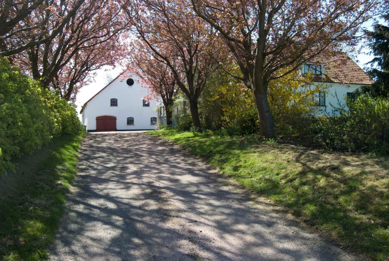 Apartamento Peterslund Östra Tommarp Exterior foto