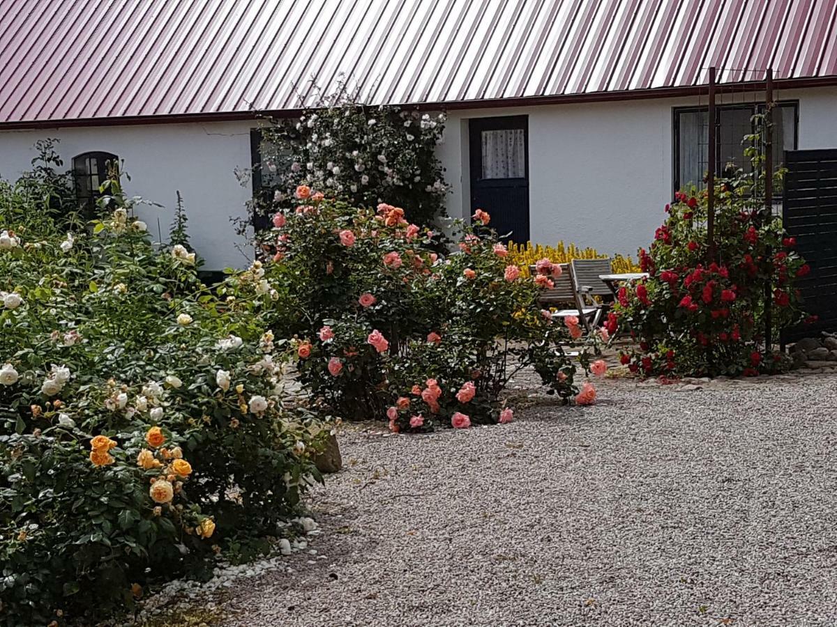 Apartamento Peterslund Östra Tommarp Exterior foto